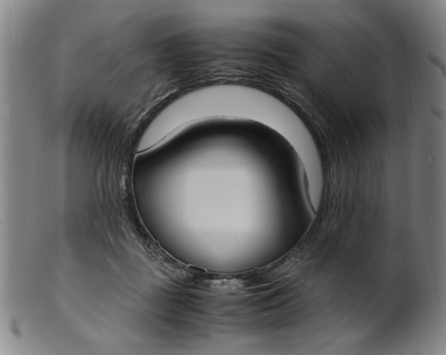 X0000099400363200805221901