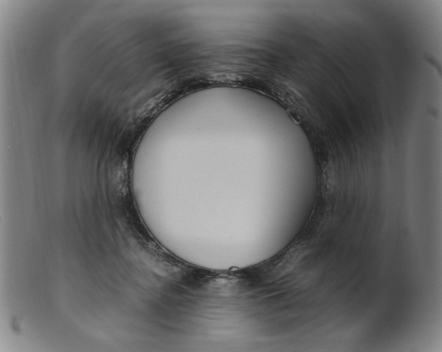 X0000099400364200805221901