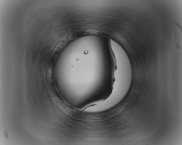 X0000099400365200805221901