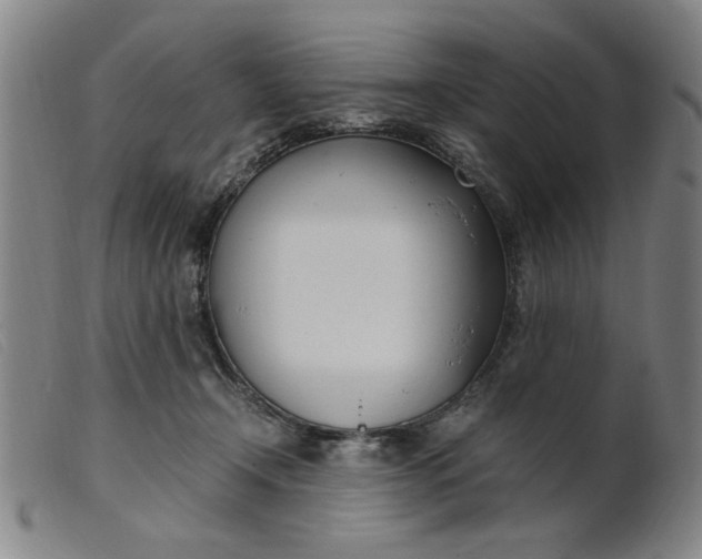 X0000099400366200805221901