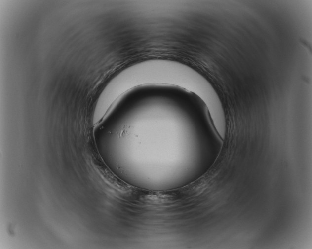 X0000099400367200805221901