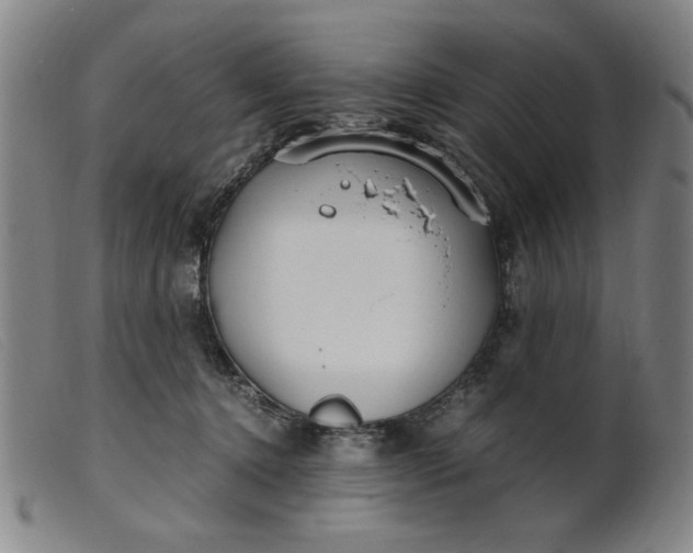 X0000099400368200805221901