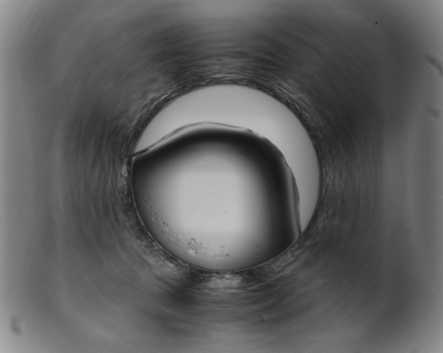 X0000099400369200805221901