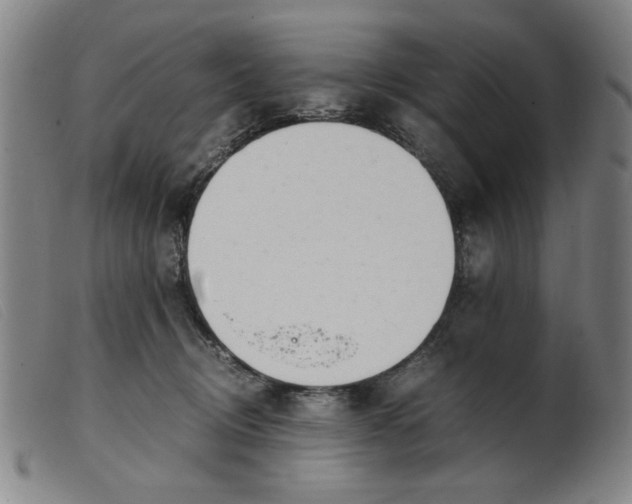 X0000099400370200805221901