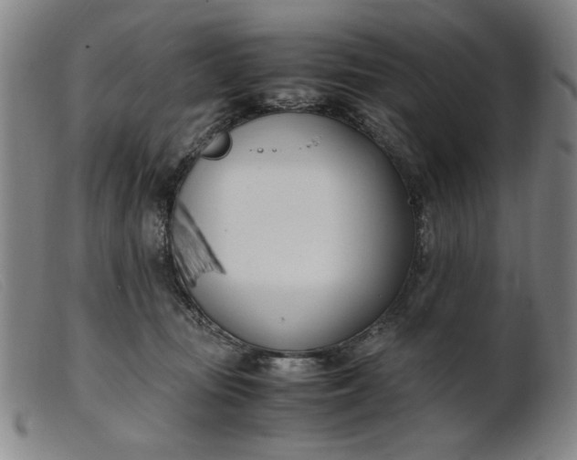 X0000099400371200805221901