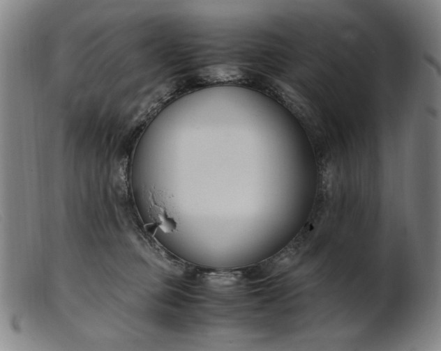 X0000099400373200805221901