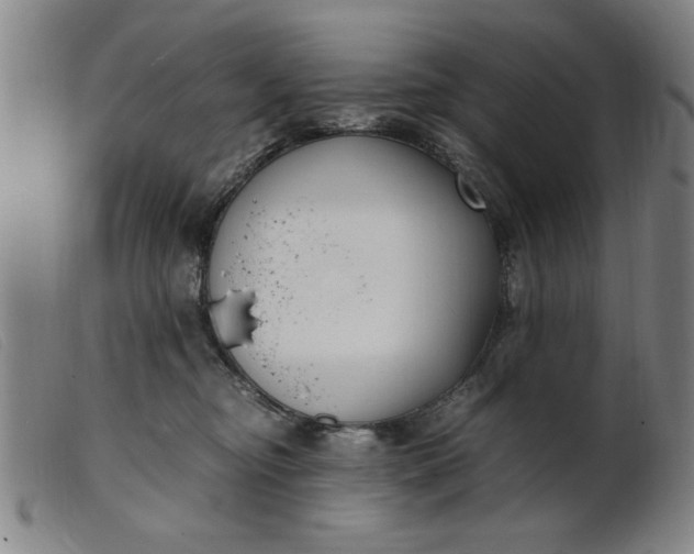 X0000099400374200805221901