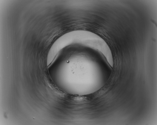 X0000099400375200805221901