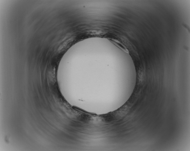 X0000099400376200805221901