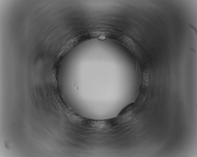 X0000099400377200805221901