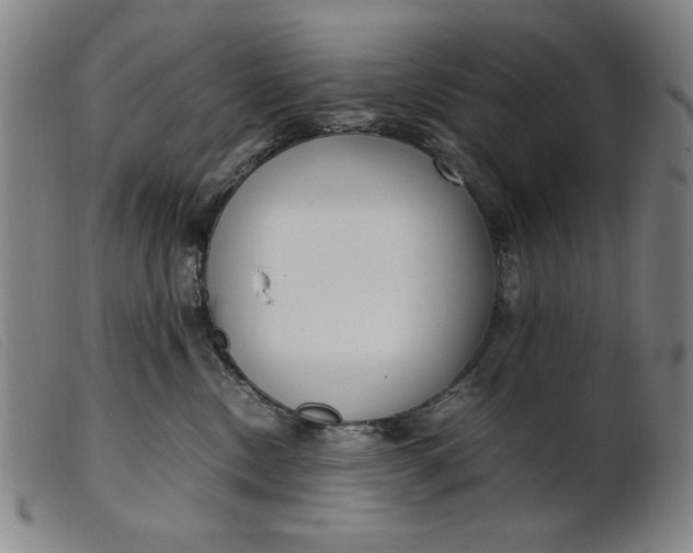 X0000099400378200805221901