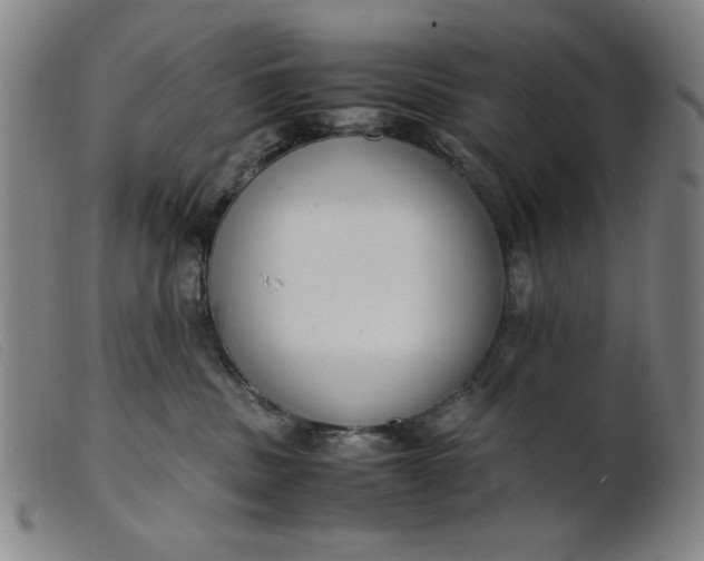 X0000099400379200805221901