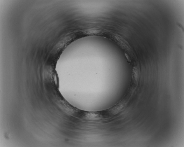 X0000099400380200805221901