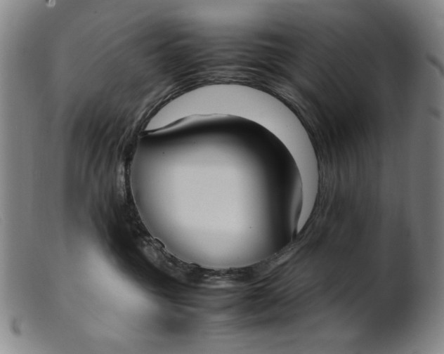 X0000099400381200805221901