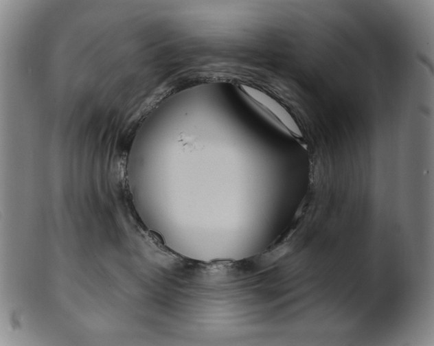 X0000099400382200805221902