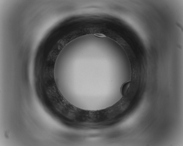 X0000099400383200805221902