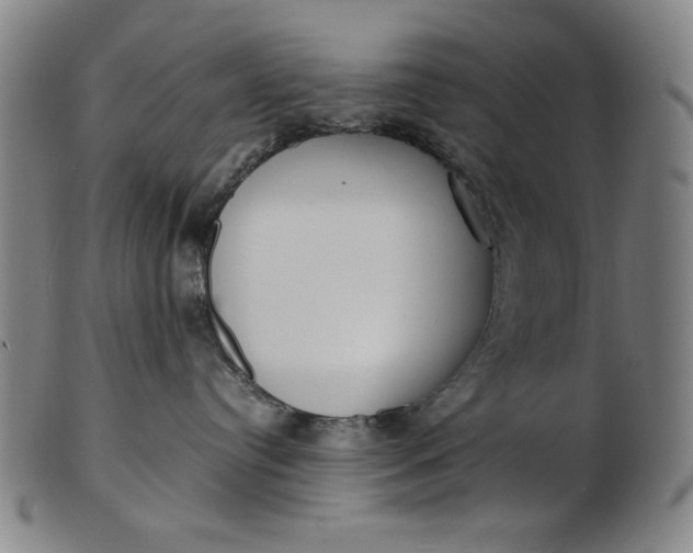 X0000099400384200805221902