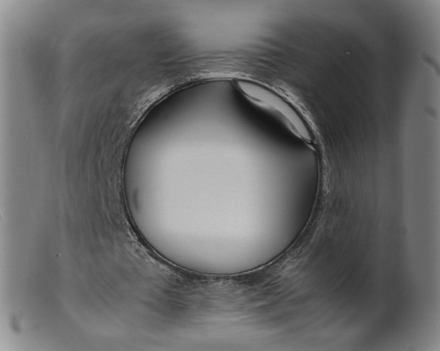 X0000099400385200805221901