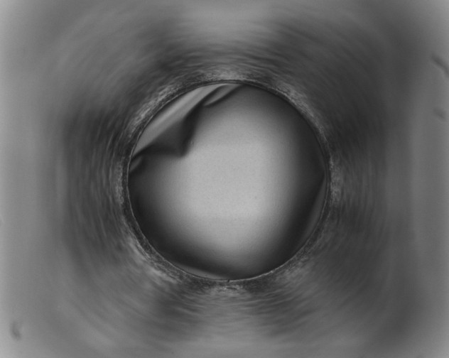 X0000099400386200805221901