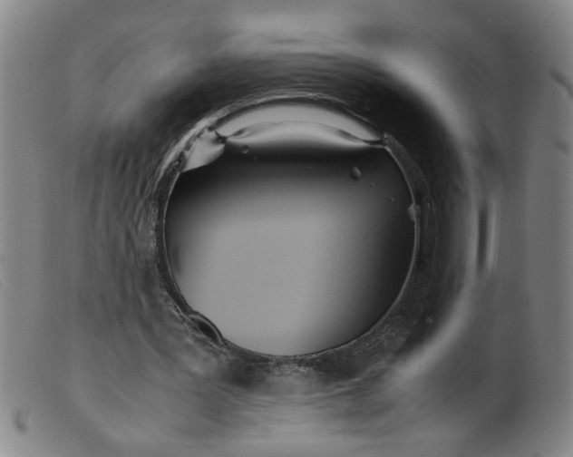 X0000099400387200805221901