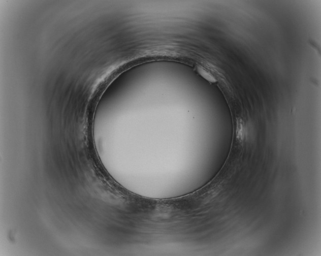 X0000099400388200805221901