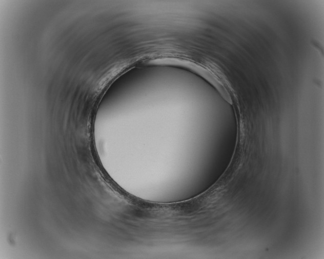 X0000099400389200805221901