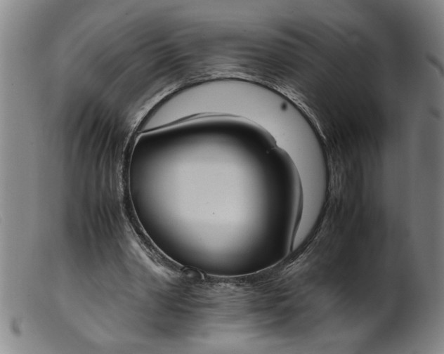 X0000099400390200805221901