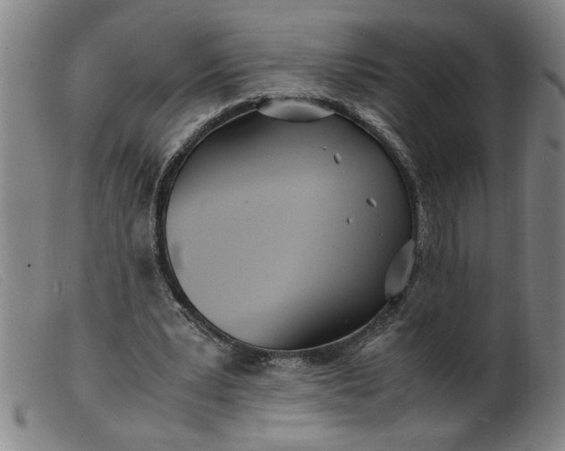 X0000099400391200805221901