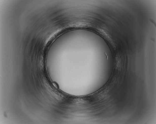 X0000099400392200805221901