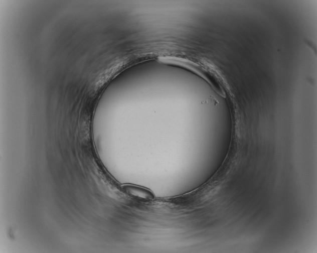 X0000099400393200805221901