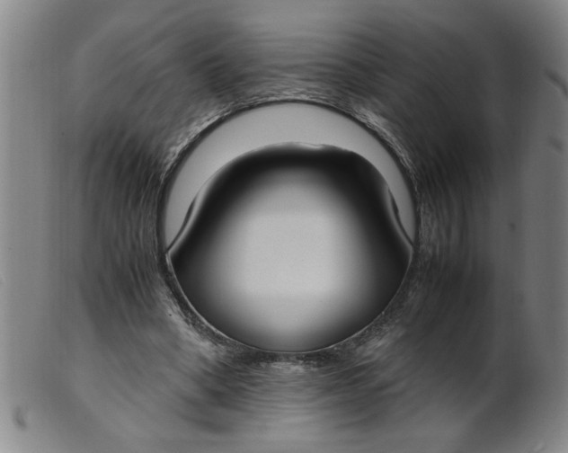 X0000099400394200805221901