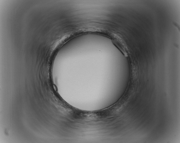 X0000099400395200805221901