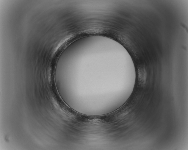 X0000099400396200805221901