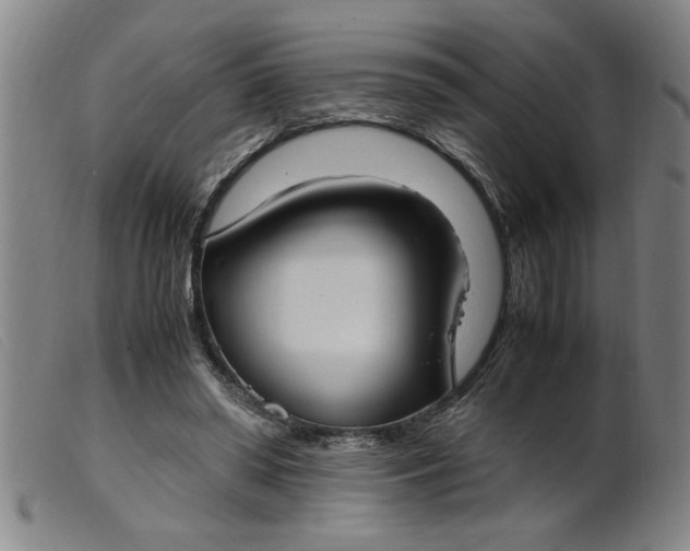 X0000099400398200805221901