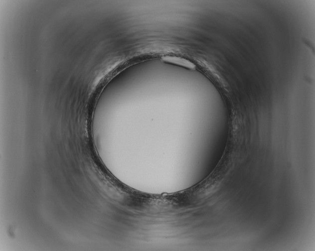 X0000099400399200805221900