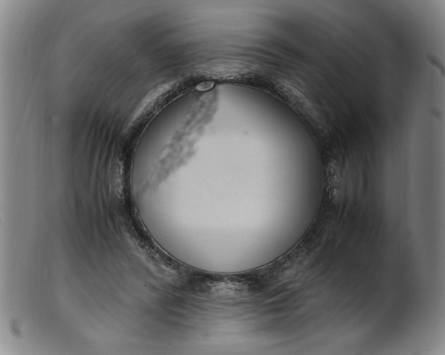 X0000099400400200805221900