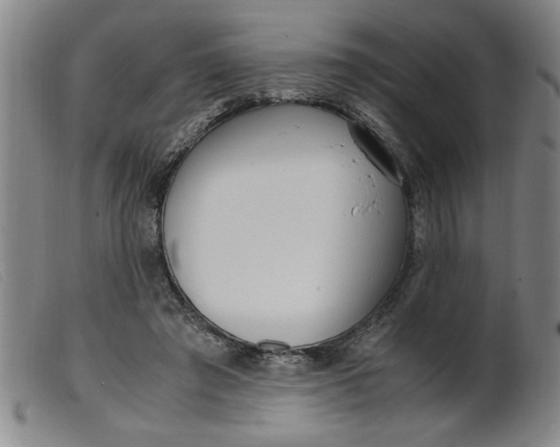 X0000099400401200805221900