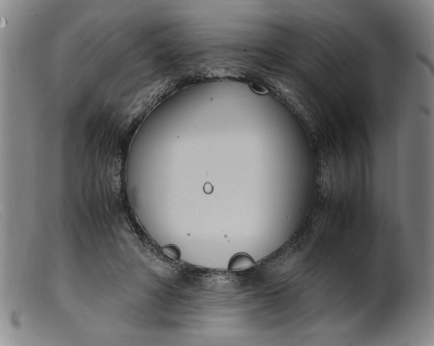 X0000099400402200805221900