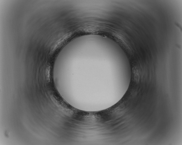 X0000099400404200805221900