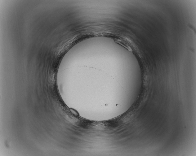 X0000099400405200805221900