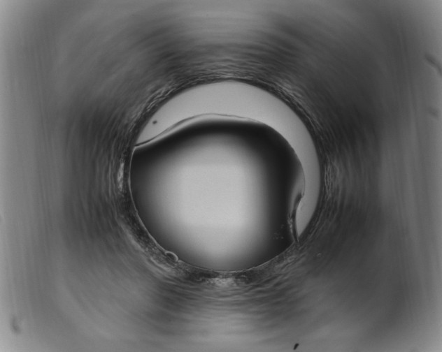 X0000099400406200805221900