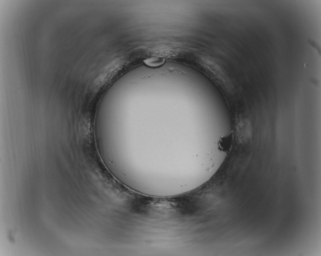 X0000099400407200805221900