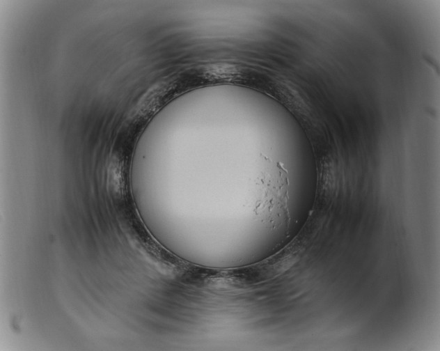 X0000099400408200805221900