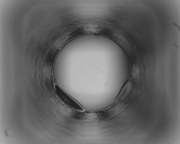 X0000099400409200805221900