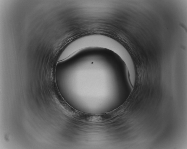 X0000099400410200805221900