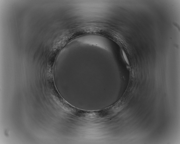 X0000099400411200805221900