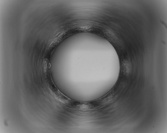 X0000099400412200805221900