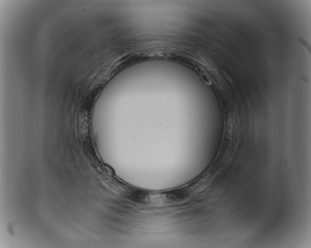 X0000099400413200805221900