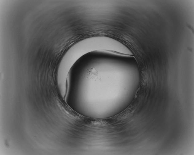 X0000099400414200805221900