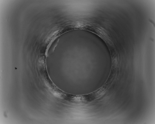 X0000099400415200805221900